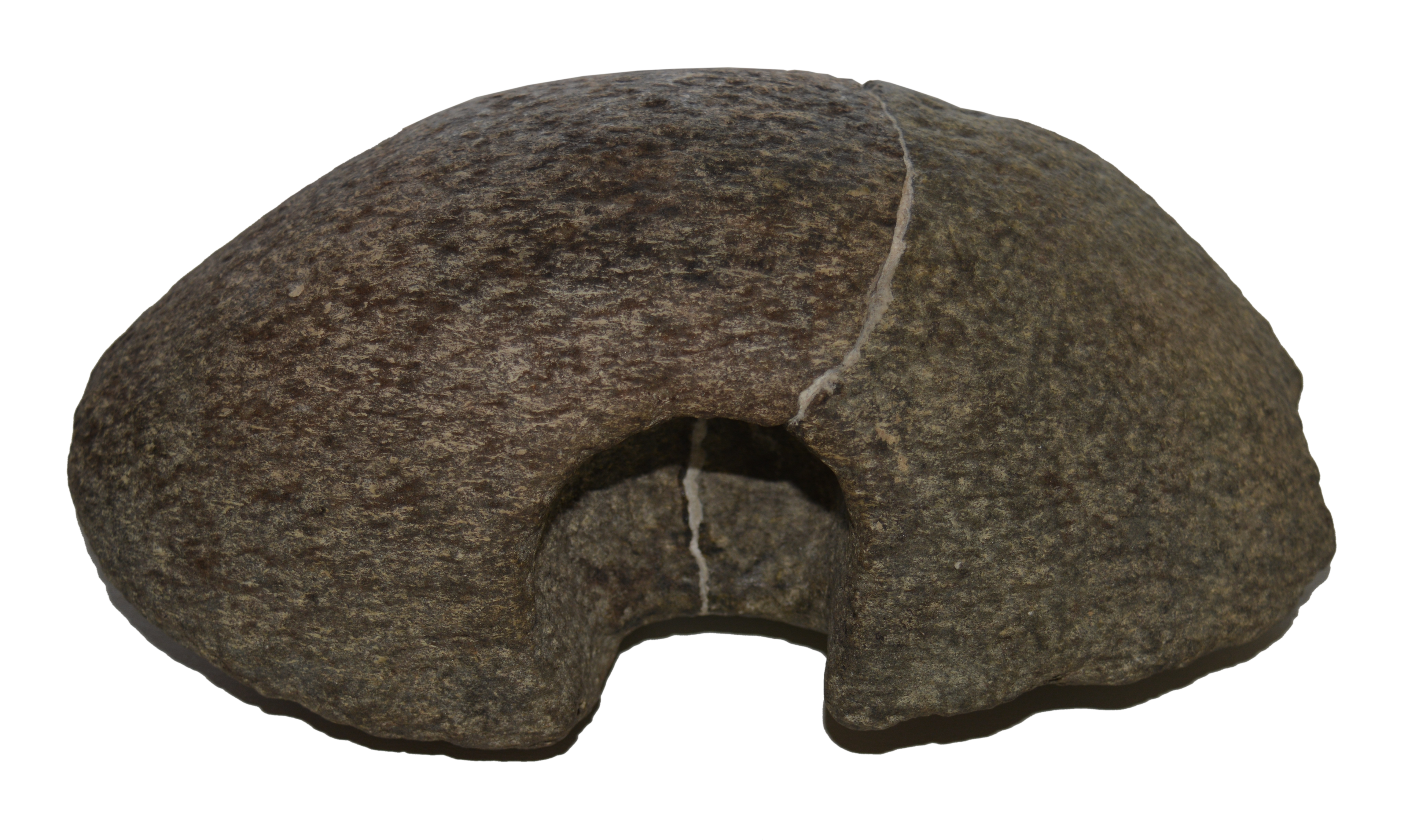 Stone jumping weight (halter)