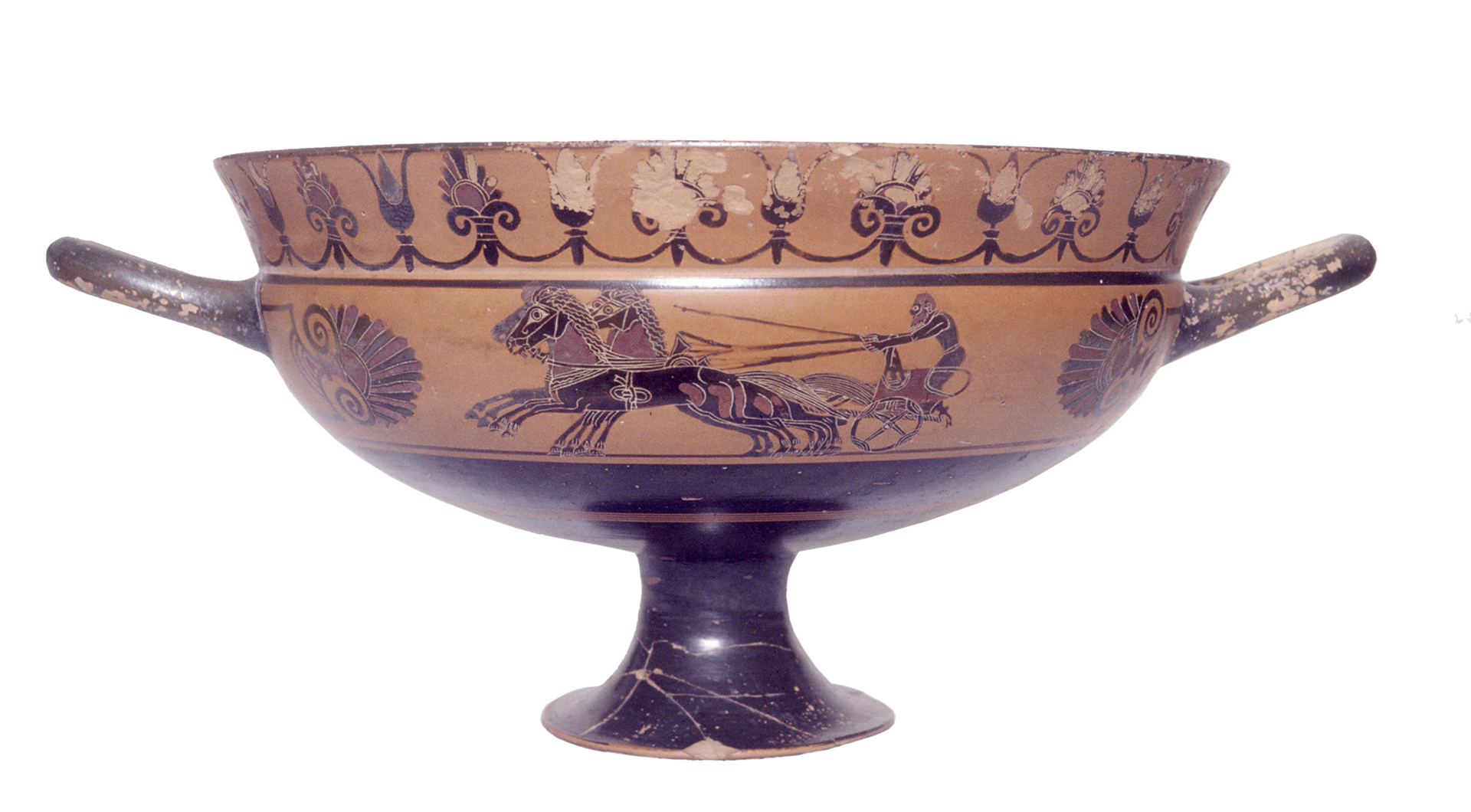 Attic black-figure cup depicting a chariot race