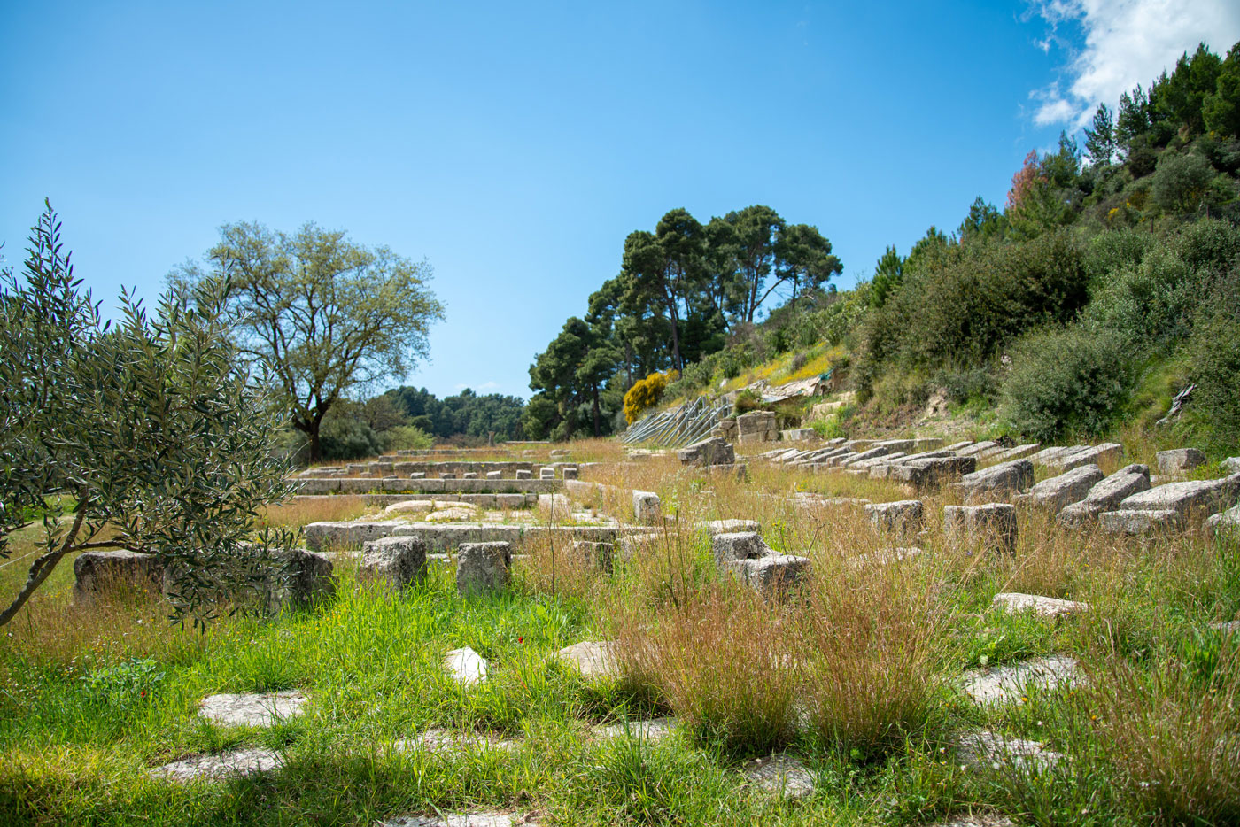 Vue des monuments (depuis l’E)