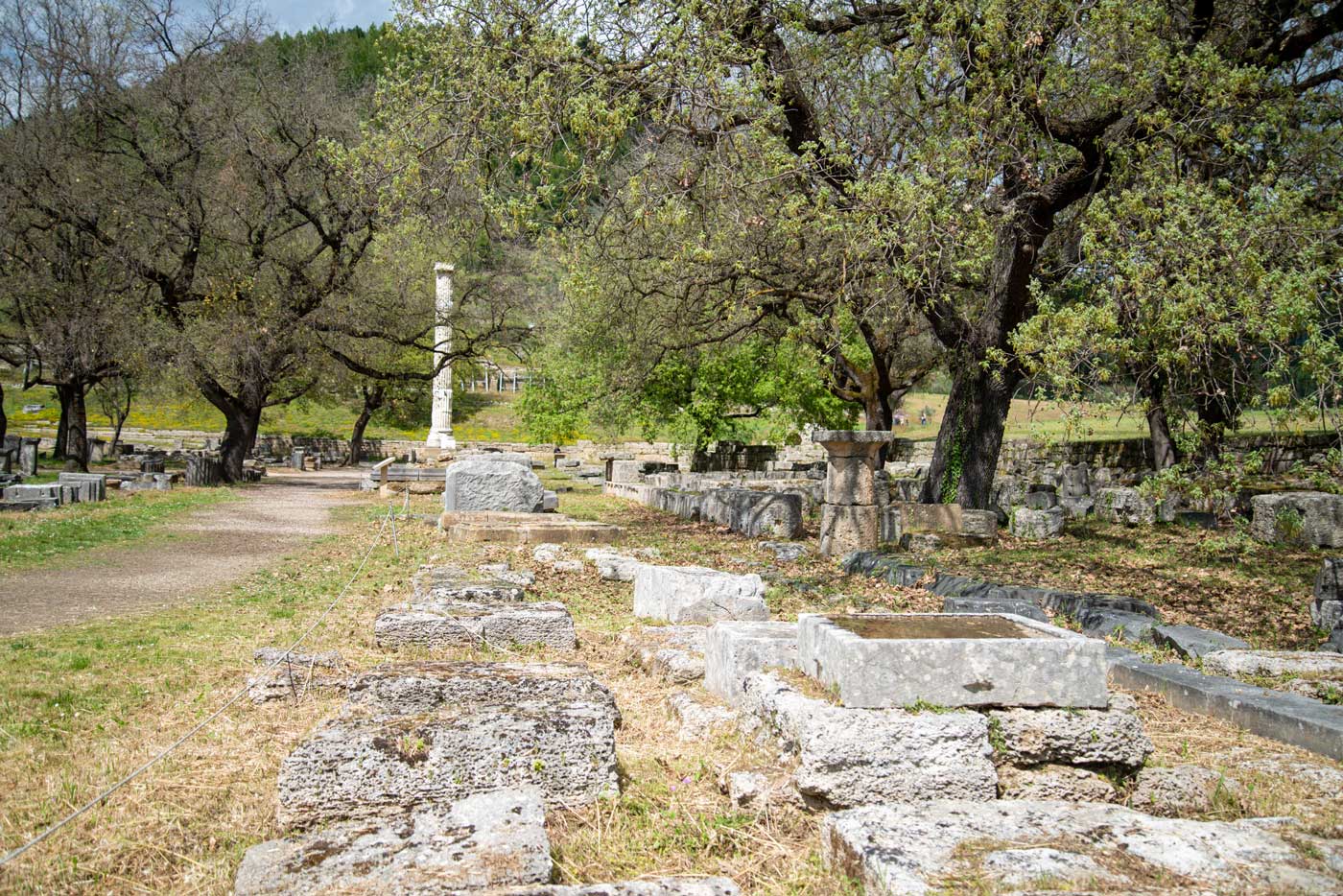 Photo of the monument (from the S)